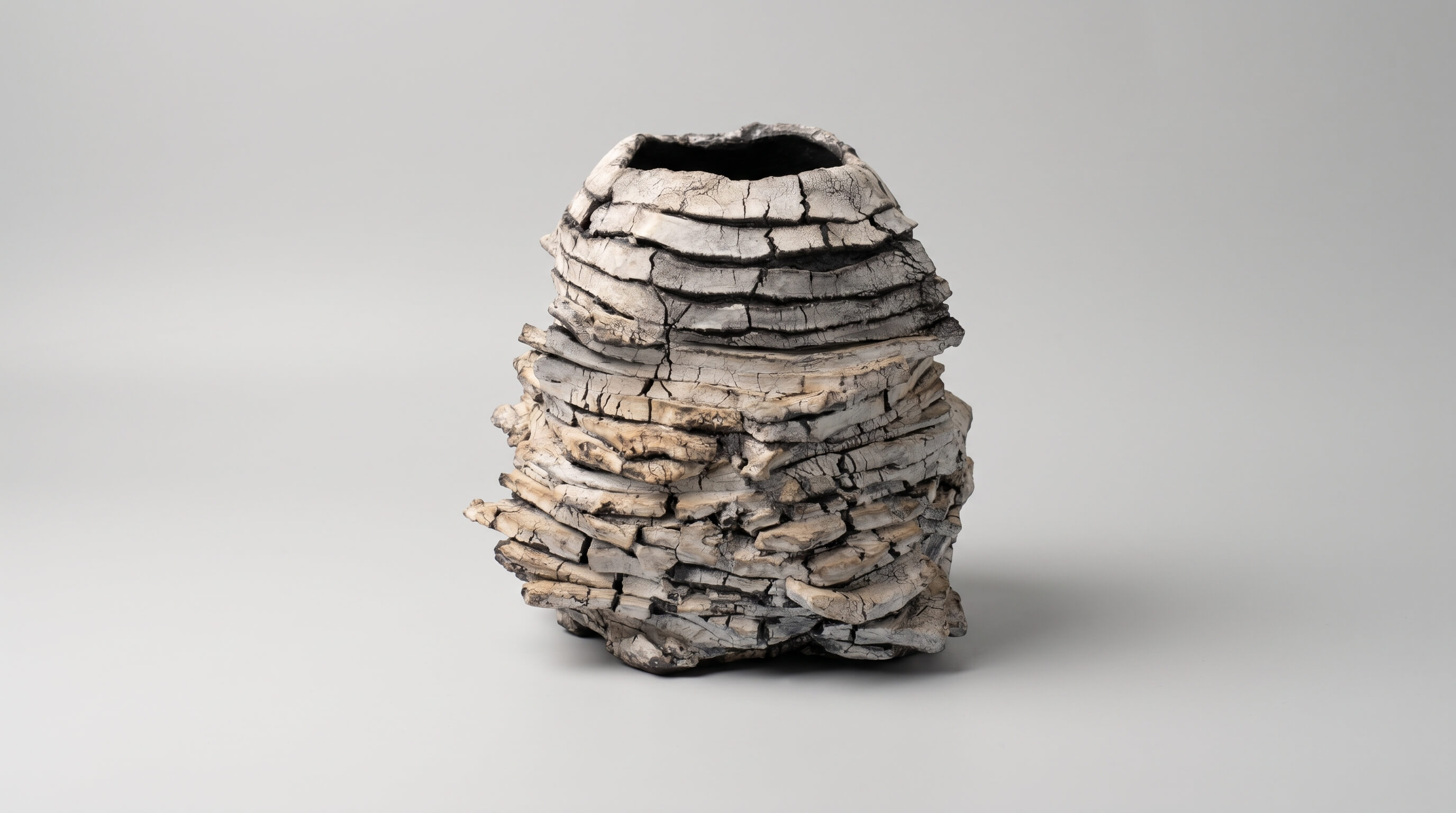 Petrified Wood